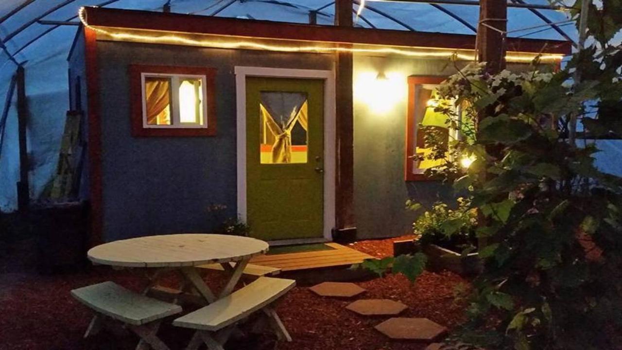 Cottonwood Cabins Fritz Creek エクステリア 写真