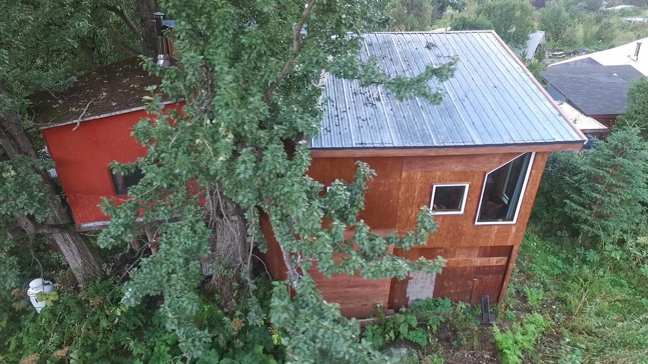 Cottonwood Cabins Fritz Creek エクステリア 写真